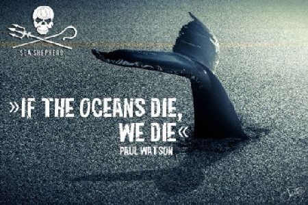 if the oceans die we die